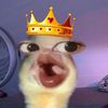 mkadwislhwt