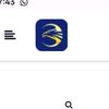 eagleweb_12