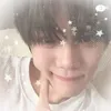 hikari_ic33