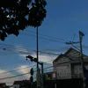 thyusng289