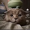 enkxeee