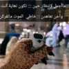 user9112752661815
