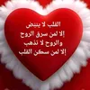 user659987541988