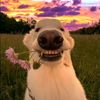 hein_fri_ju_mk