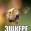 foooooooof