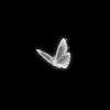om.adam1013
