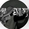 om_ar377