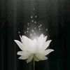 vui.nguyn.thi73