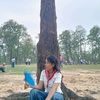 sumiraii6