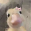 zul.z.osiedla14