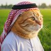 Sultan Paws