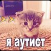 kyvshjvqbcn