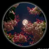 user21271212386025