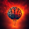 braindrainmedia