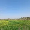 suaad.mahdi.88