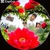 mr.asif830