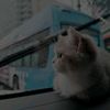 maral._.girl