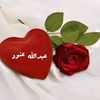al.anod87