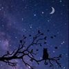 yousuf.mirza76