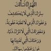 user105253466