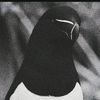 yohan_gk1