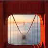 faisal.mohammed829