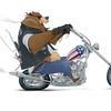 oldbearbiker