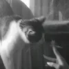 kut_.r