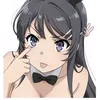 animelover_itsnotweird