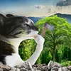 Thinking Cat