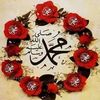 user337048082784