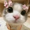 liyliyyz