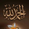 hanankhan5742