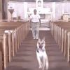 tyhawkemdownwitdaswitch