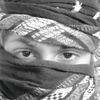 sher.ali2481