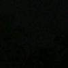 renn_stecuuu