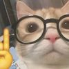 eduar_maldonado01