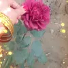 zainaja97