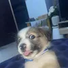 ynfndmmm
