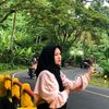 cica.mnis