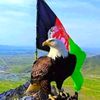 armanimasood19