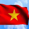 quyenconnguoivietnam