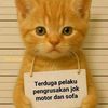 fadin440