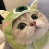 bindeppzaiii123