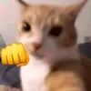 hoai.ng03