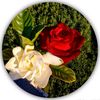 muhammad.ali58356