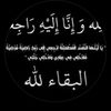 renas_800