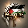 junaid.hussain865