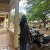 panhalqmy8d