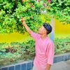 md.noyon6003